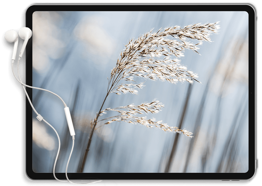 https://www.spaziorelazione.it/wp-content/uploads/2022/01/Tablet.png